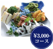 3000円コース