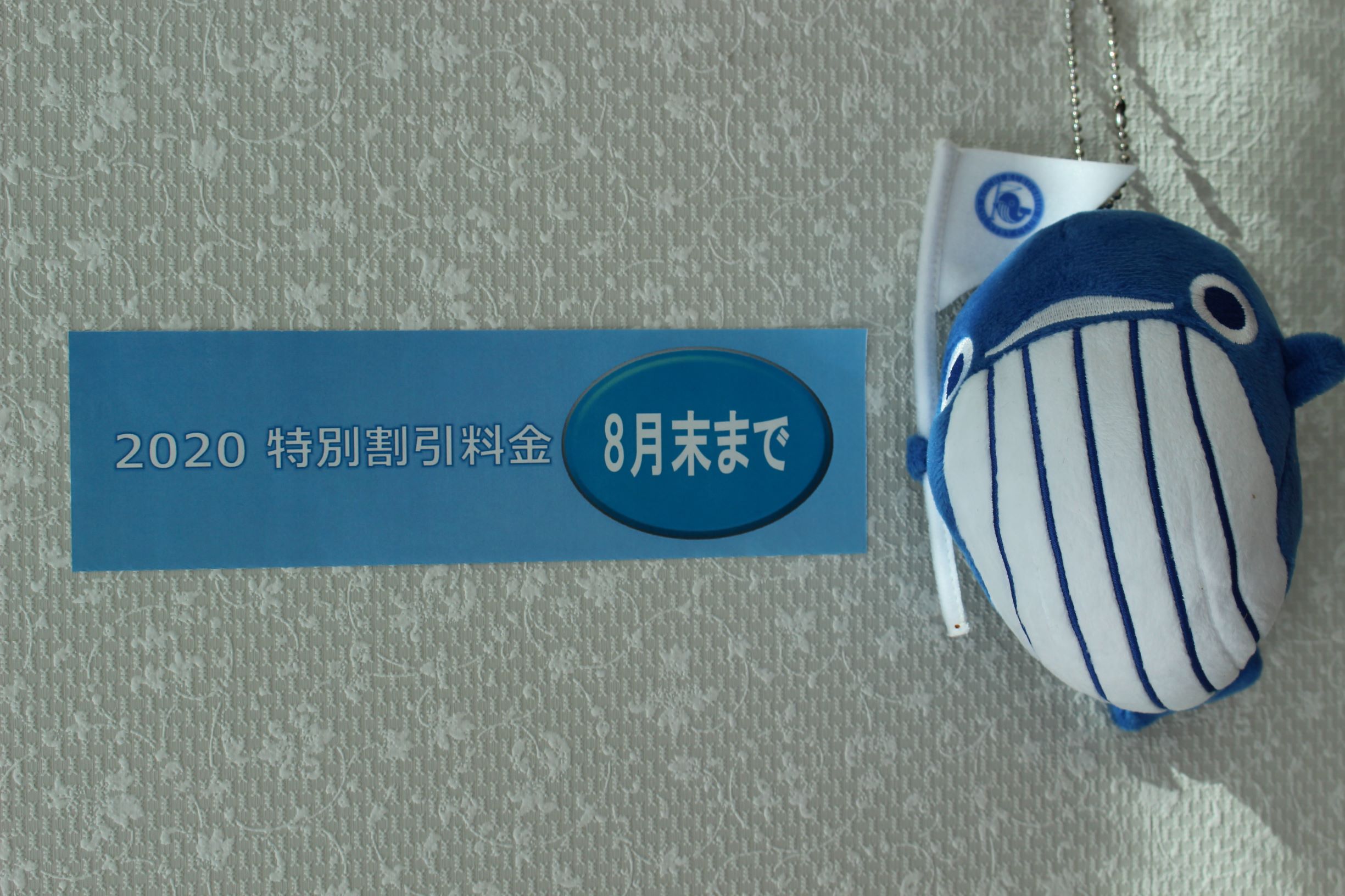 特別料金期間です | ≪公式ページ≫Kochi黒潮カントリークラブ